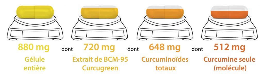 Gelule Curcumine Curcumactif 2 Nutrixeal Info