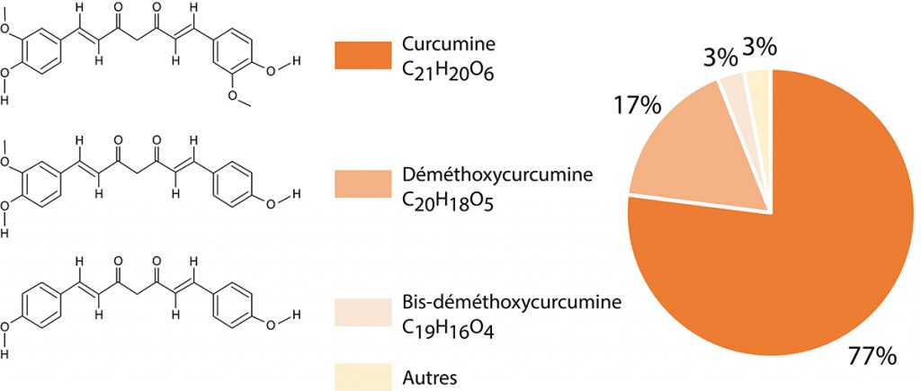 Curcuminoïdes naturels dans extrait de curcuma