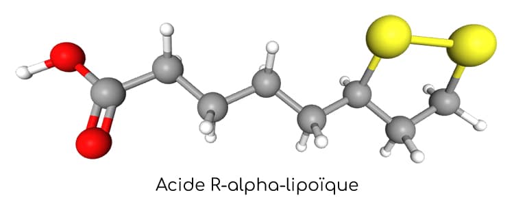 Acide alpha-lipoïque : propriétés et fonctions - Nutrixeal Info