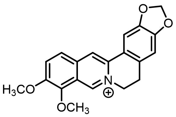 berberine : structure moléculaire.