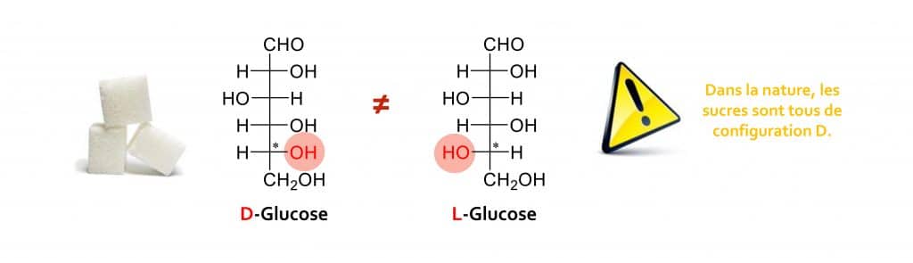 glucose Nutrixeal Info