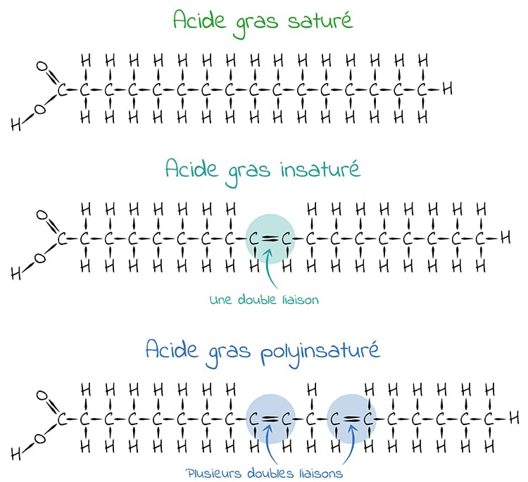 Omega3 Index nutraceutique Nutrixeal Info