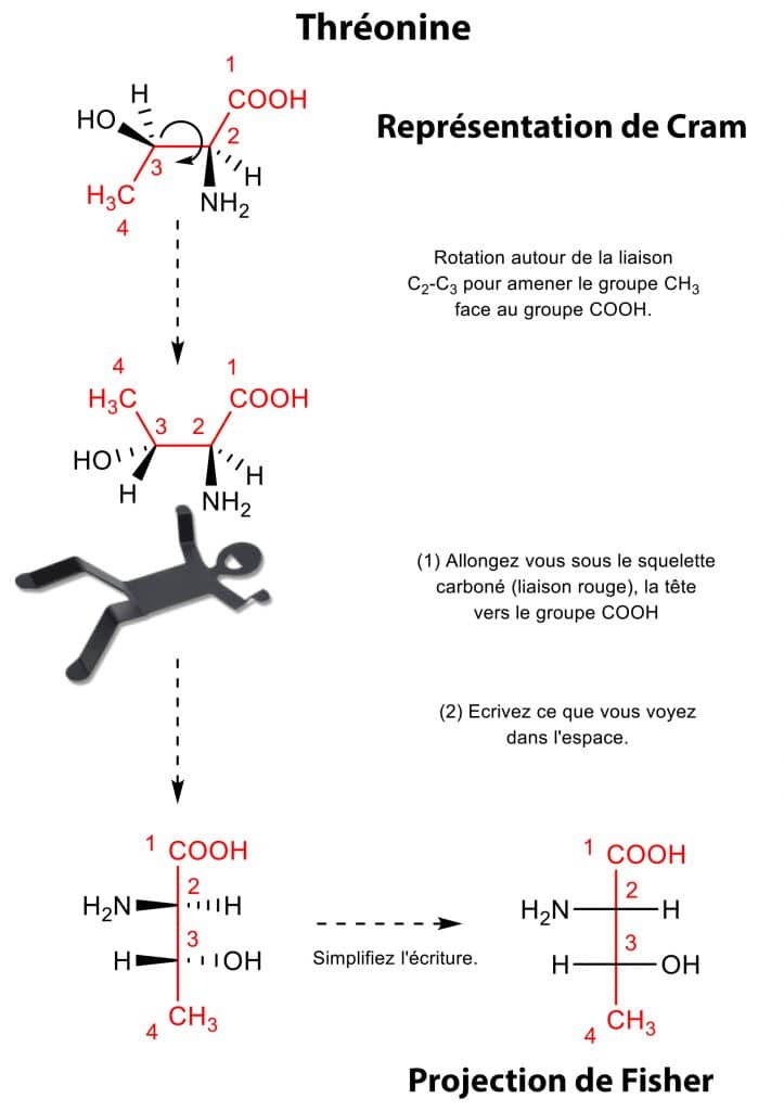 theonine_cram_ficher_nutrixeal_info