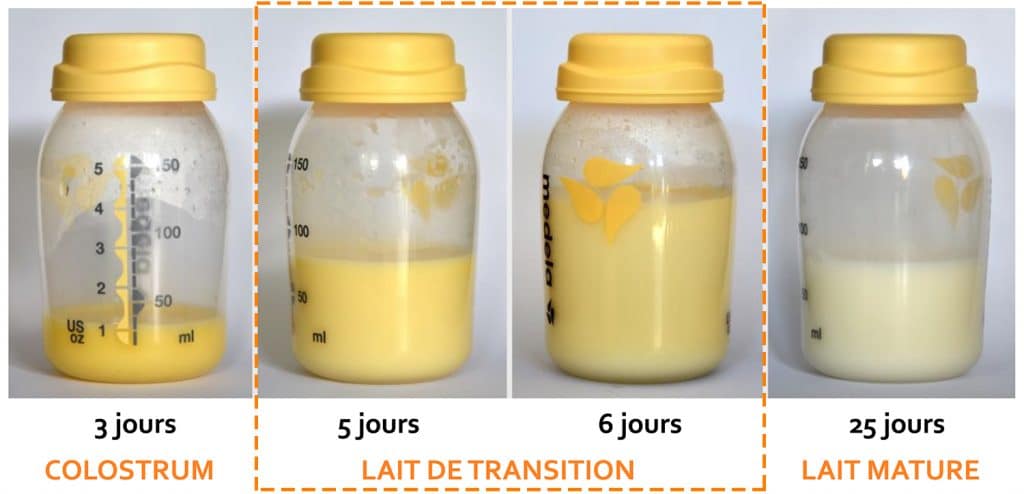 Lait de transition Nutrixeal Info