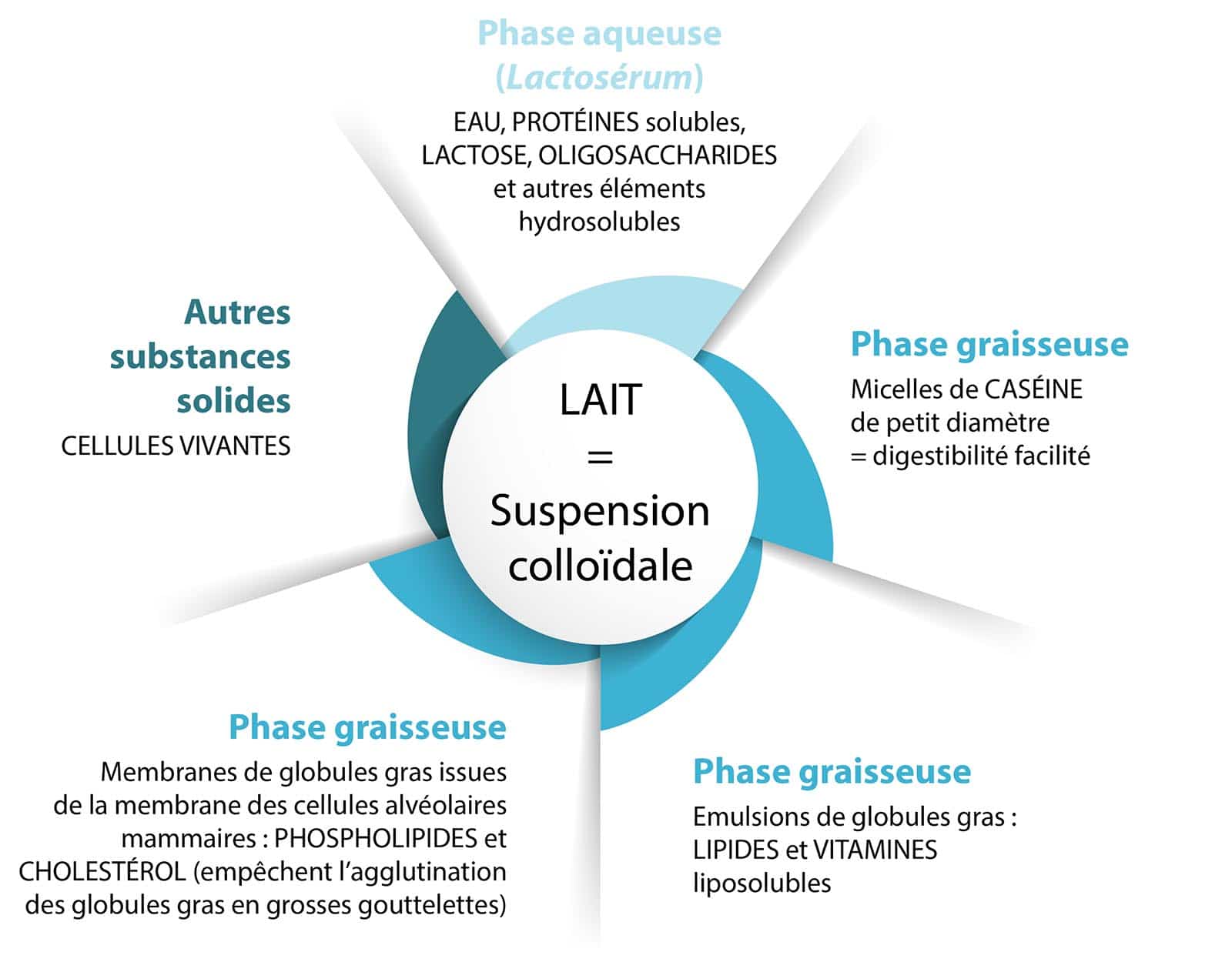 lait_suspension_colloidale_Nutrixeal-Info