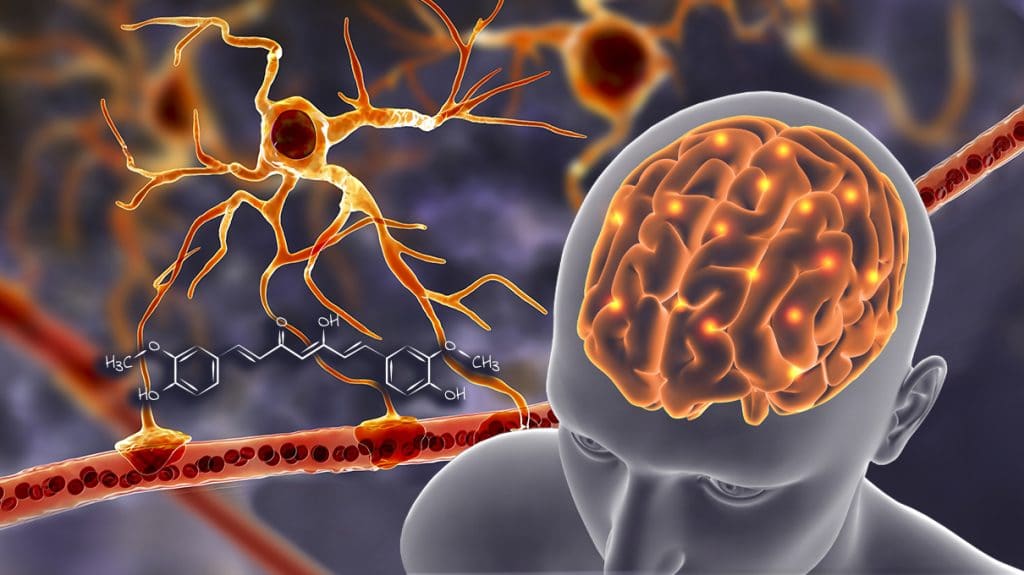 curcumine et barriere hemato-encephalique sur nutrixeal info