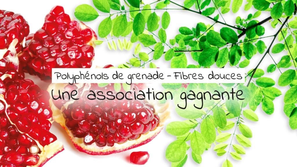 Polyphénols de grenade et fibres douces : une association gagnante.