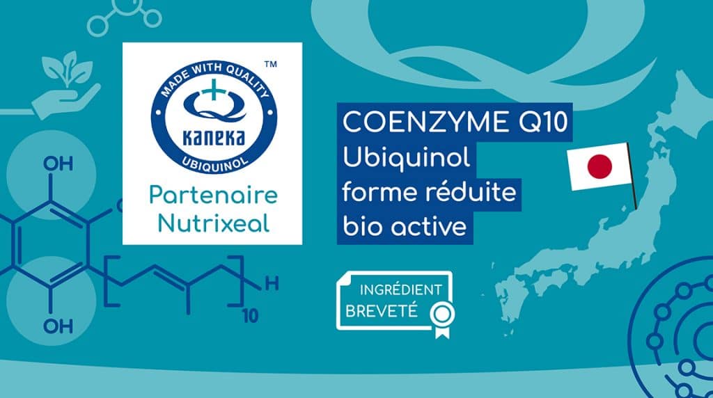 Kaneka, partenaire Nutrixeal, spécialiste de la coenzyme Q10 ubiquinol.