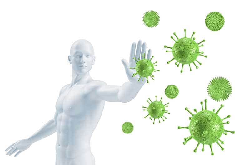 immunité - défenses antivirales et antibactériennes