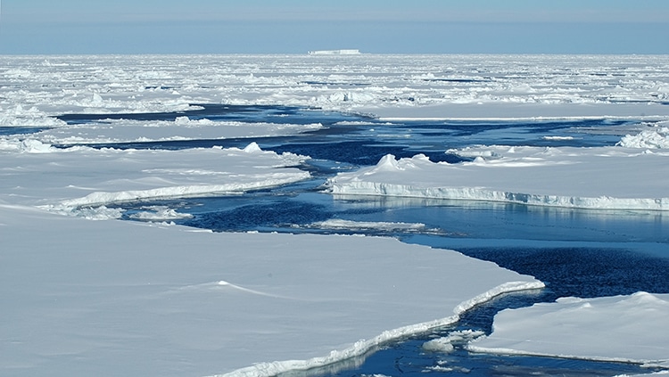 rechauffement climatique fonte banquise et rarefaction du krill